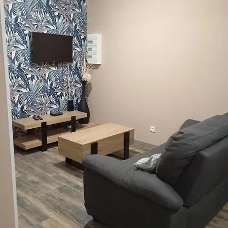 Apartamento Moderne Avec Terrasse A - 65 M² - Bbq. *