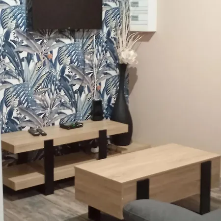 Apartment Moderne Avec Terrasse A - 65 M² - Bbq. *