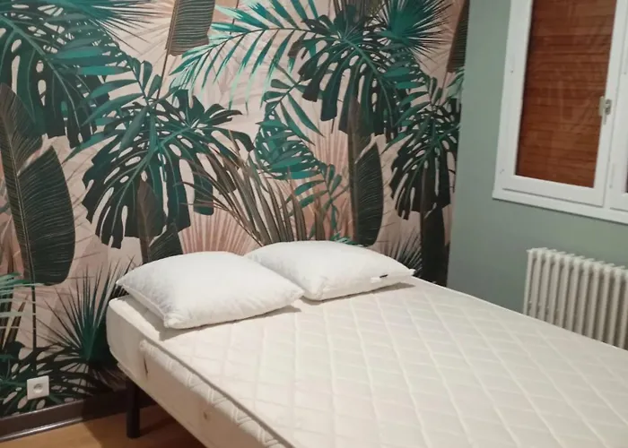 Moderne Avec Terrasse A - 65 M² - Bbq. 公寓 科尔尼蒙