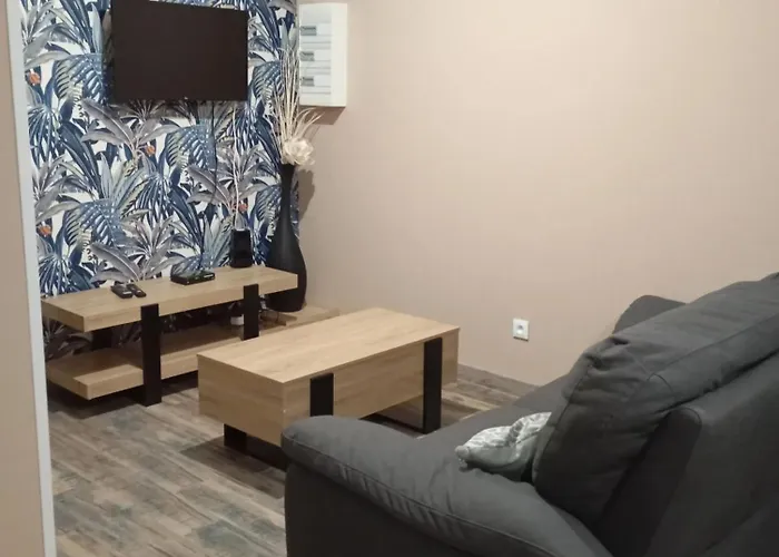 Moderne Avec Terrasse A - 65 M² - Bbq. Lejlighed Cornimont