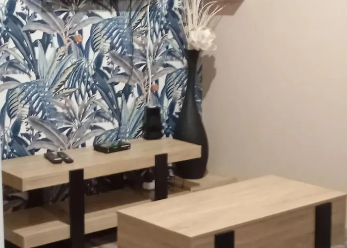 公寓 Moderne Avec Terrasse A - 65 M² - Bbq. *